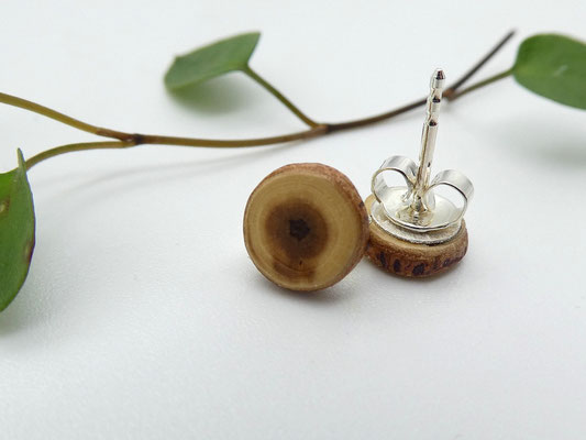 Mini-Ohrstecker aus Eibe, 8 mm