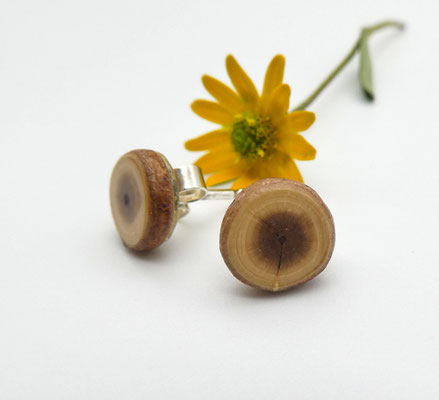 Ohrstecker aus einem Eibenholzast, 8 mm