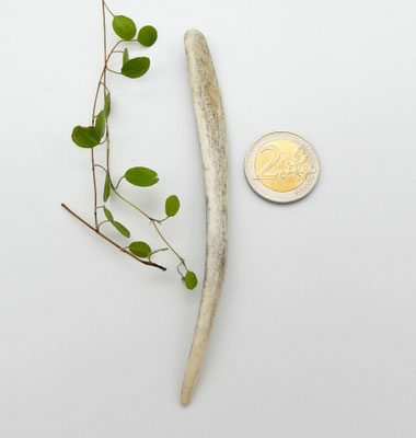 kurze Haarnadel aus Hirschgeweih