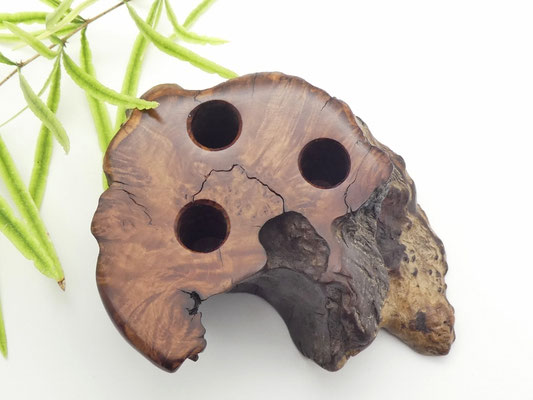 Stiftehalter aus Eukalyptuswurzelholz