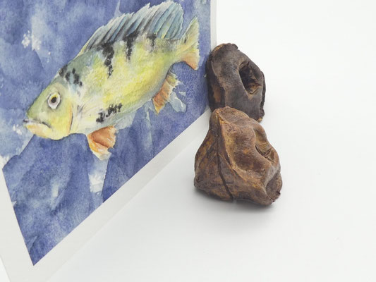 2 Kartenhalter aus Eukalyptuszapfen