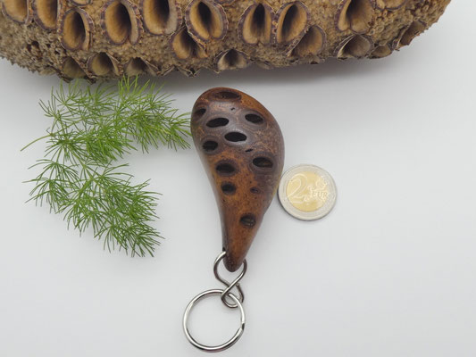 Schlüsselanhänger-Handschmeichler aus einem Banksiazapfen