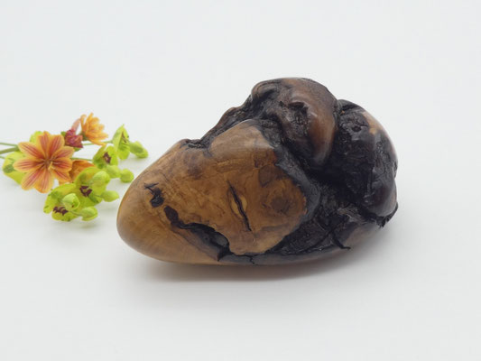 Handschmeichler aus Holz - Olivekern-Esche