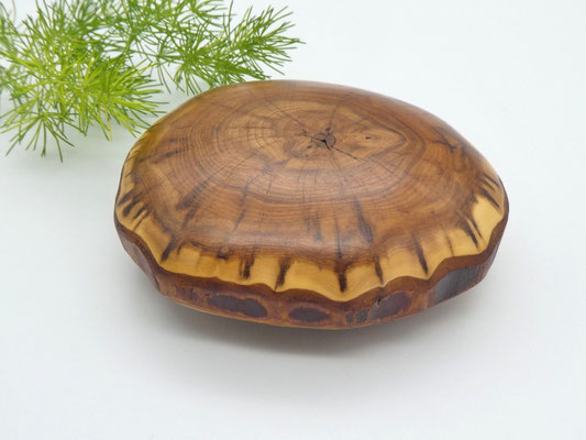 Handschmeichler aus Holz - Eibe