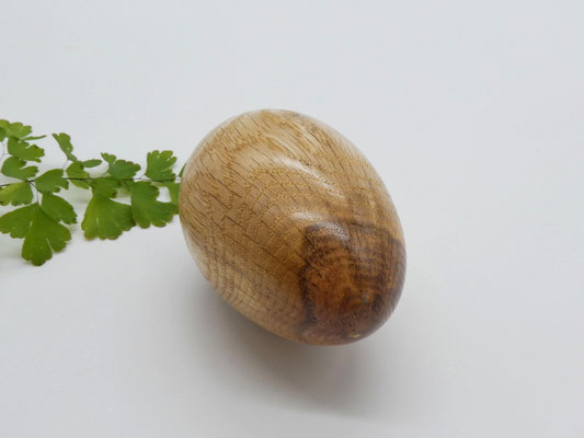 Holzei aus Roteiche - Baum des Jahres 2025