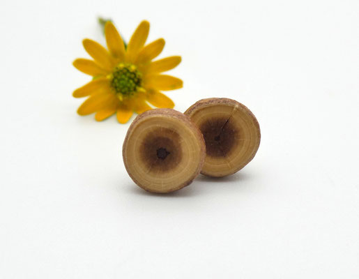 Ohrstecker aus einem Eibenholzast, 8 mm