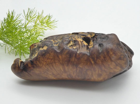 Handschmeichler aus Eukalyptusholz