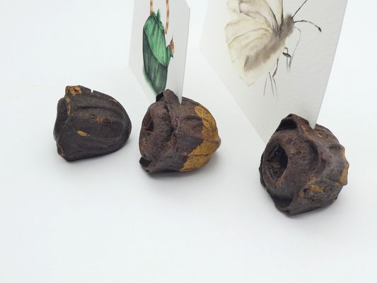 3 Kartenhalter aus Eukalyptuszapfen