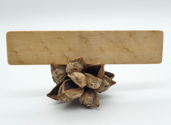 Lesezeichen aus Holz - Muschelahorn