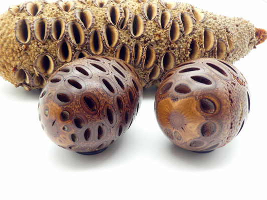 2 Holzeier aus einem Banksia-Zapfen