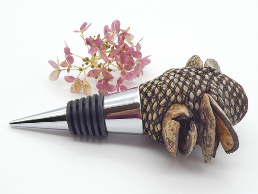Wein-Flaschenverschluss aus Holz - Banksia-Zapfen