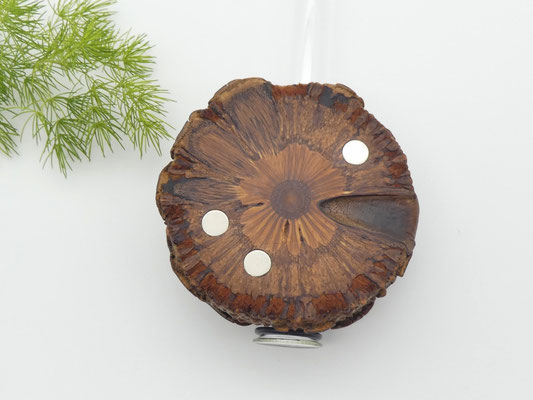 Vase aus Holz - Banksia - mit Magnet für den Kühlschrank
