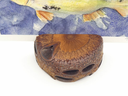 Kartenhalter/Wechselrahmen aus einem Banksiazapfen