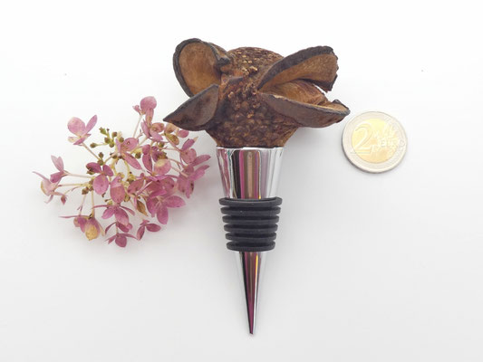 Flaschenverschluss aus einem Banksia-Zapfen