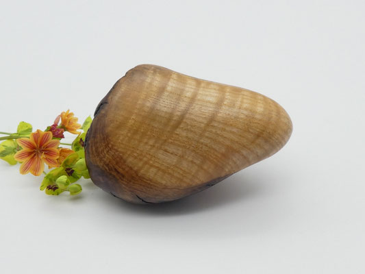 Handschmeichler aus Holz - Olivekern-Esche