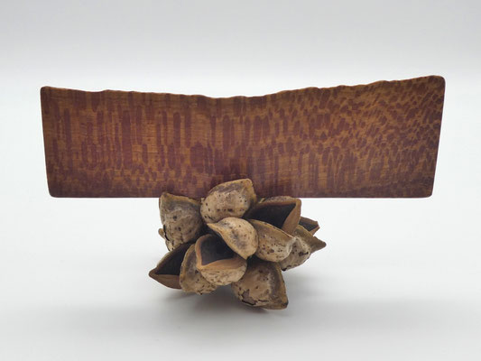 Lesezeichen aus Holz, Banksiaholz