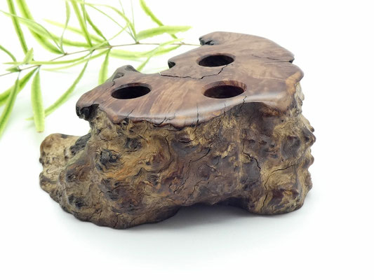 Stiftehalter aus Eukalyptuswurzelholz