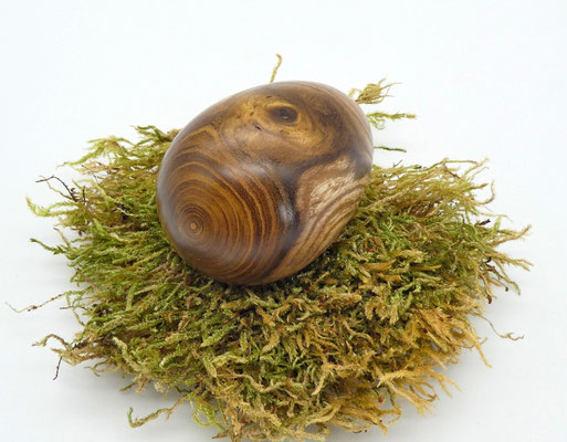 Holzei aus Goldregen
