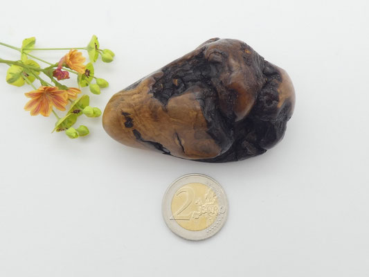 Handschmeichler aus Holz - Olivekern-Esche