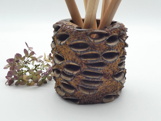 Stiftebecher aus einem Banksiazapfen