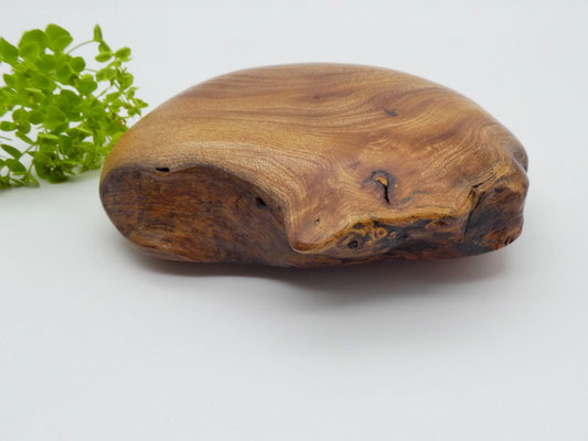 Handschmeichler aus Ulme