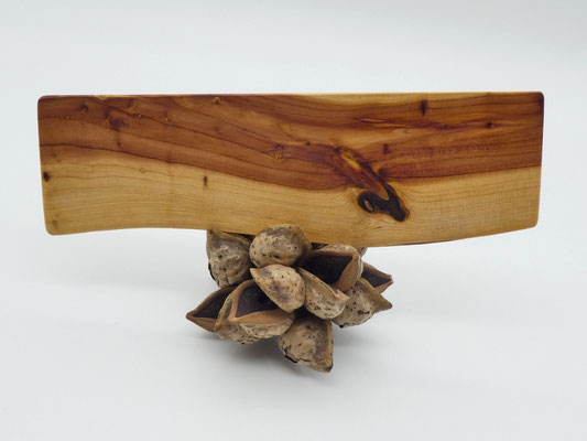 Lesezeichen aus Holz - chinesischer Wacholder