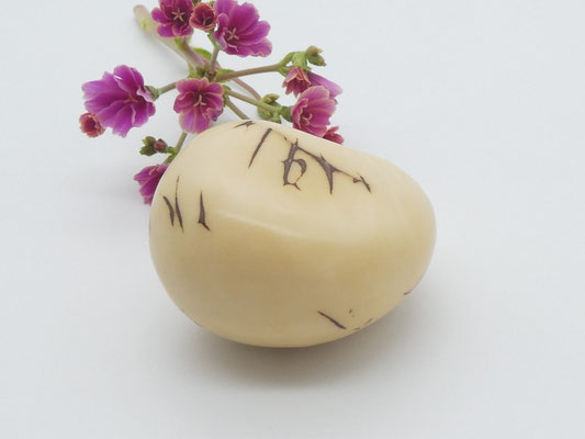 Handschmeichler aus einer Taguanuss