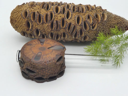 Vase aus Holz - Banksia - mit Magnet für den Kühlschrank