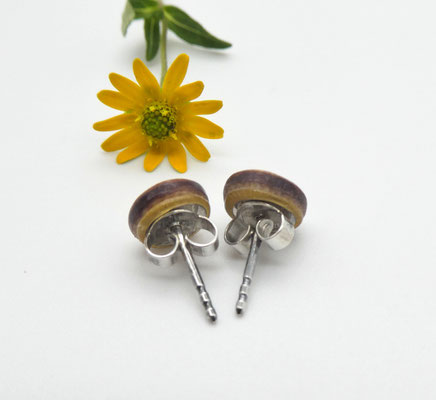 Ohrstecker aus einem australischen Strauch 8 mm