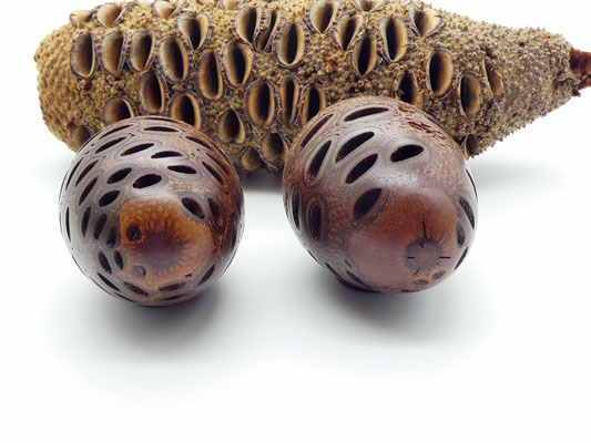2 Holzeier aus einem Banksia-Zapfen