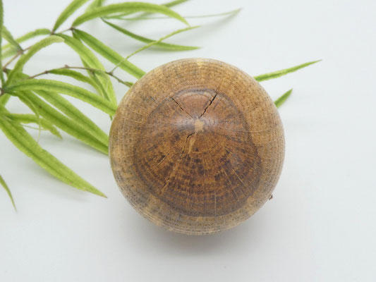 Holzkugel aus Roteiche 50 mm - Baum des Jahres 2025