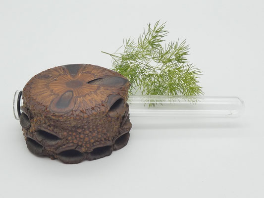 Vase aus Holz - Banksia - mit Magnet für den Kühlschrank