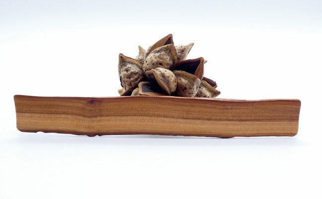 Lesezeichen aus Holz - Apfelbaum