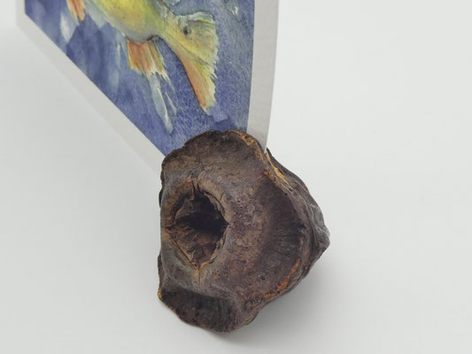 2 Kartenhalter aus Eukalyptuszapfen