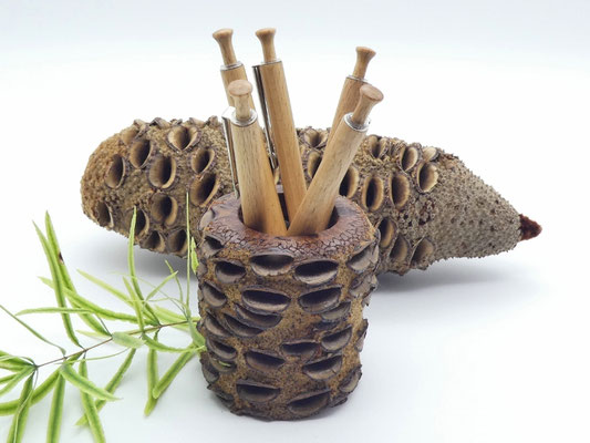 Stiftehalter aus Holz - Banksiazapfen