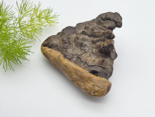 Handschmeichler aus Eukalyptusholz - Geschenkidee für Australienfans