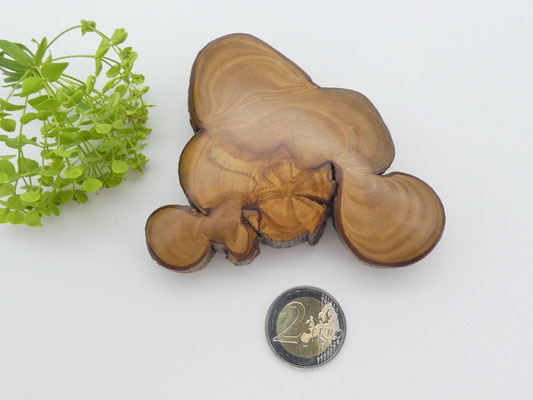 Handschmeichler aus Olivenholz