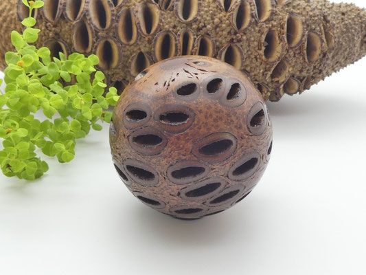 Kugel aus einem Banksiazapfen 63 mm