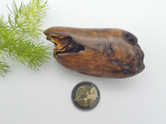 Handschmeichler aus Eukalyptusholz