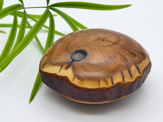 Handschmeichler aus Holz - Eibe