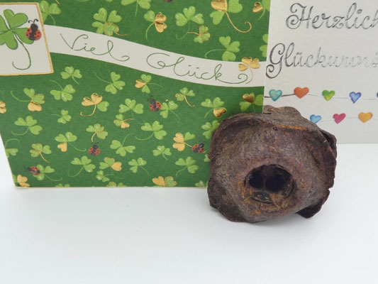 3 Kartenhalter aus Eukalyptuszapfen