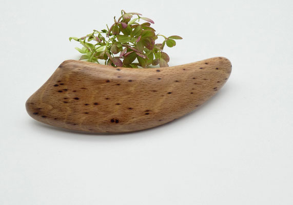Haarspange aus Buchenmaser & große Klammer