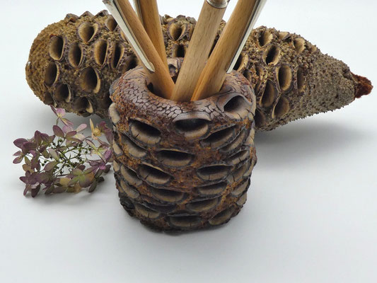 Stiftebecher aus einem Banksiazapfen