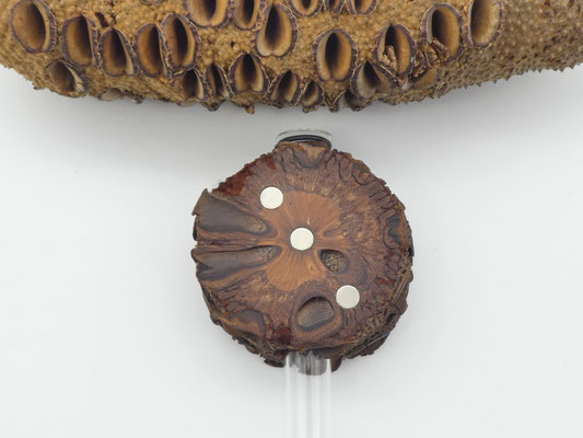 Vase aus Holz - Banksia - mit Magnet für den Kühlschrank
