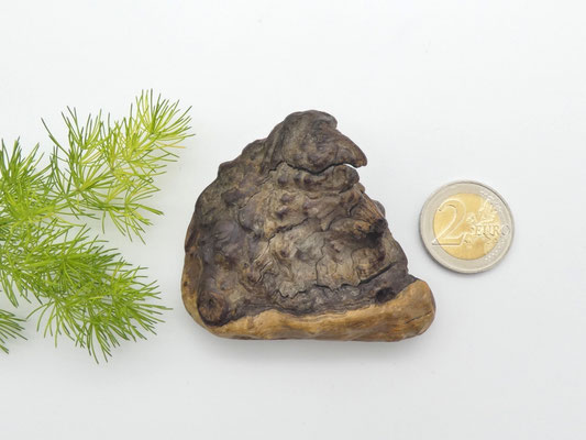 Handschmeichler aus Eukalyptusholz - Geschenkidee für Australienfans