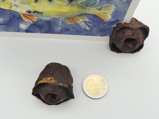 3 Kartenhalter aus Eukalyptuszapfen