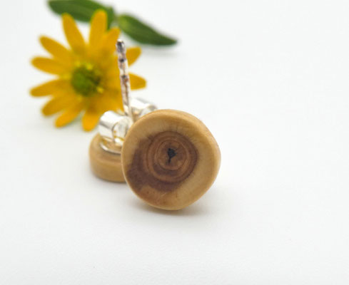 Mini-Ohrstecker aus Eibe, 8 mm