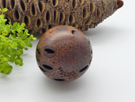 Kugel aus einem Banksiazapfen 63 mm