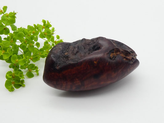 Handschmeichler aus Holz - Eukalyptus