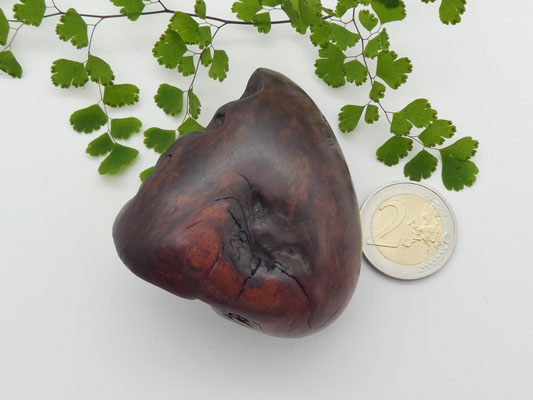 Handschmeichler aus Eukalyptuswurzel